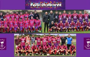 Officiel : Nos Seniors B et C montent !! Félicitations !!!