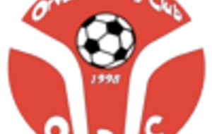 U8/U9 : Tournoi Orvault RC