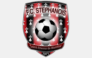 U10/U11 : Tournoi FC Stephanois