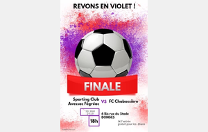 RÊVONS EN VIOLET : POUR UN DOUBLE HISTORIQUE ( FINALE DE LA COUPE DE DISTRICT A.BEAUVINEAU) 