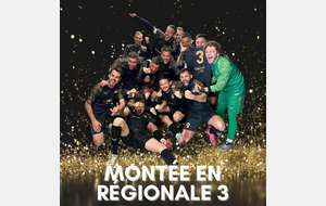 CELLIER MAUVES / SENIORS A 