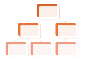 Réunion Organigramme Sportif