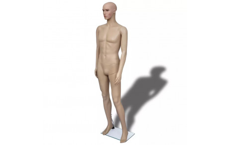 Recherche Mannequin de présentation