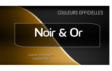 Découvrez les nouvelles Couleurs Officielles de la fusion !!