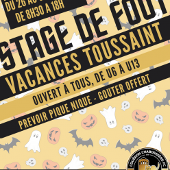 Stage Toussaint : 2ème semaine